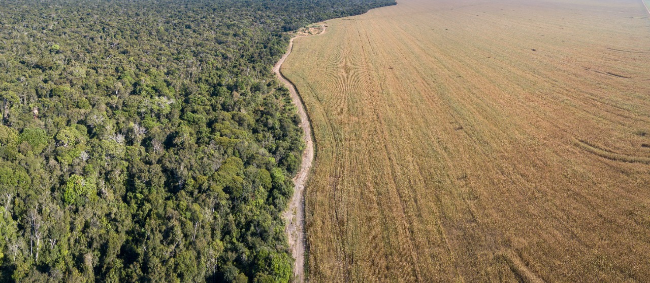 Amazônia ameaçada: Colniza, um retrato do desmatamento em Mato Grosso