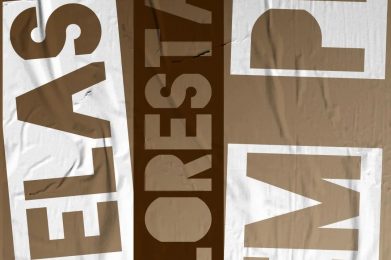 OCF_FlorestaEmPe (2)