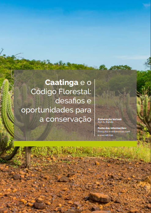 Oportunidades abertas para Projetos de Compensação Ambiental – IABS, o  Instituto Brasileiro de Desenvolvimento e Sustentabilidade